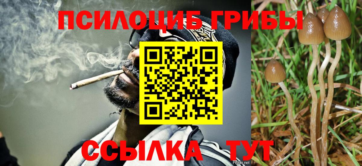 Псилоцибиновые грибы GOLDEN TEACHER Артём